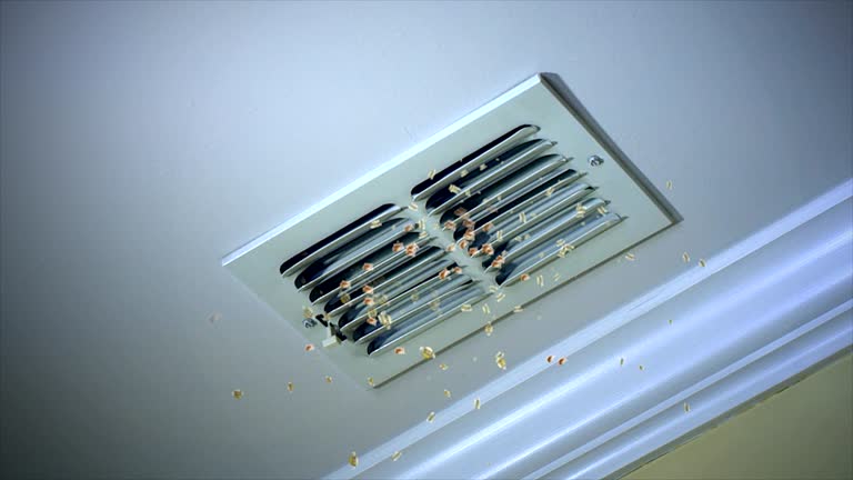 Professional Airduct Cleaning in White Sulphur Springs, WV