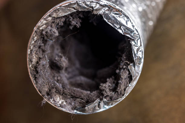 Best General Air Duct Cleaning  in White Sulphur Springs, WV