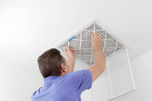 Best Ventilation Cleaning Services  in White Sulphur Springs, WV
